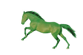 horse 1