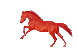 horse 2